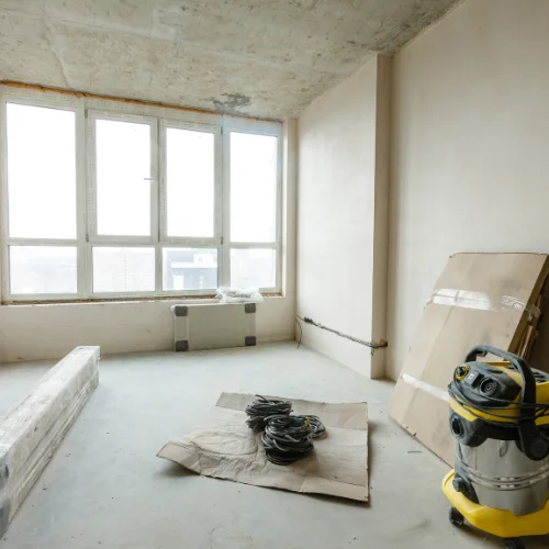 Mold Removal Service Miami