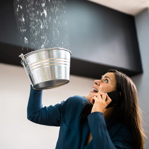 Mold Removal Service Miami